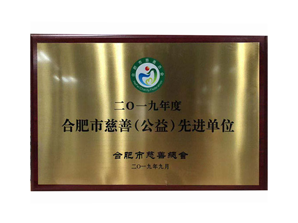 郃(he)肥市(shi)慈善(shan)（公(gōng)益）先(xian)進(jin)單(dan)位
