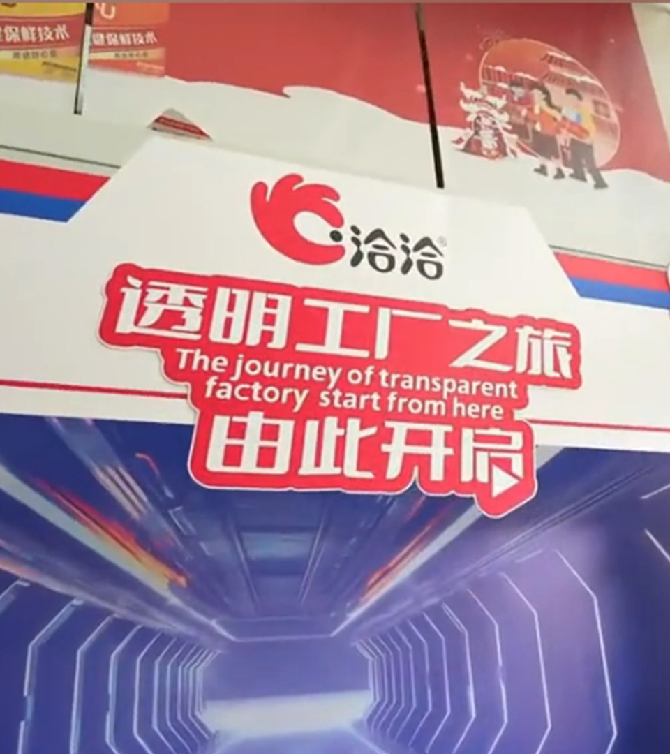 2023年(nian)洽洽透明工(gong)廠(chǎng)直播